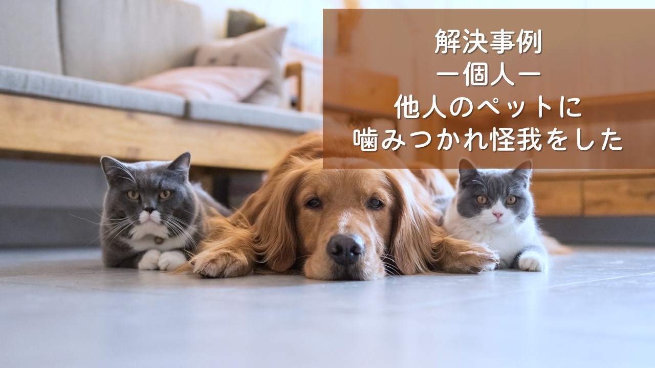 解決事例　損害賠償請求（ペットに咬みつかれ怪我）
